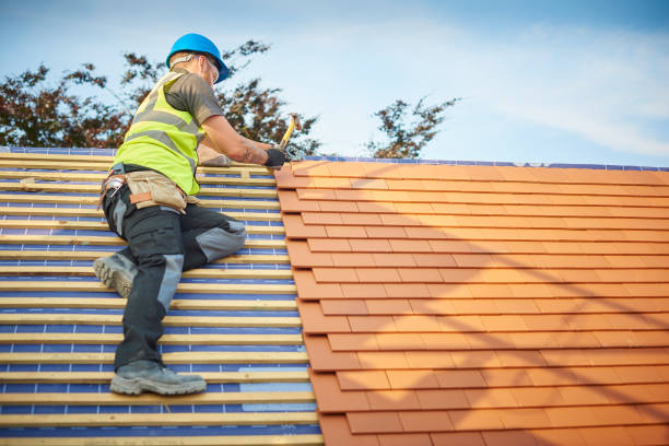 Best Asphalt Shingle Roofing  in , SC