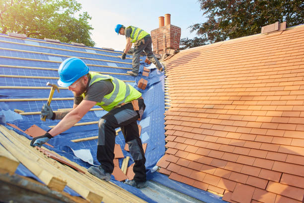 Best Roof Maintenance and Cleaning  in , SC